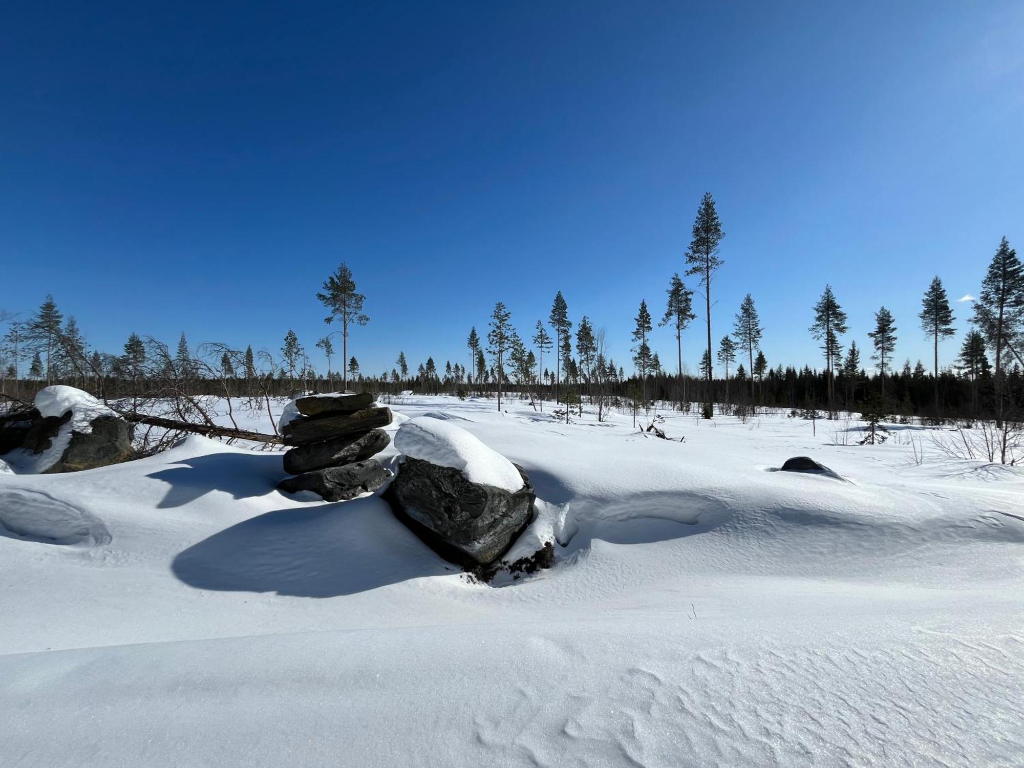 Log Cottages In 10 Min From Santa Claus Village-Sauna&Freeparking Rovaniemi Kültér fotó
