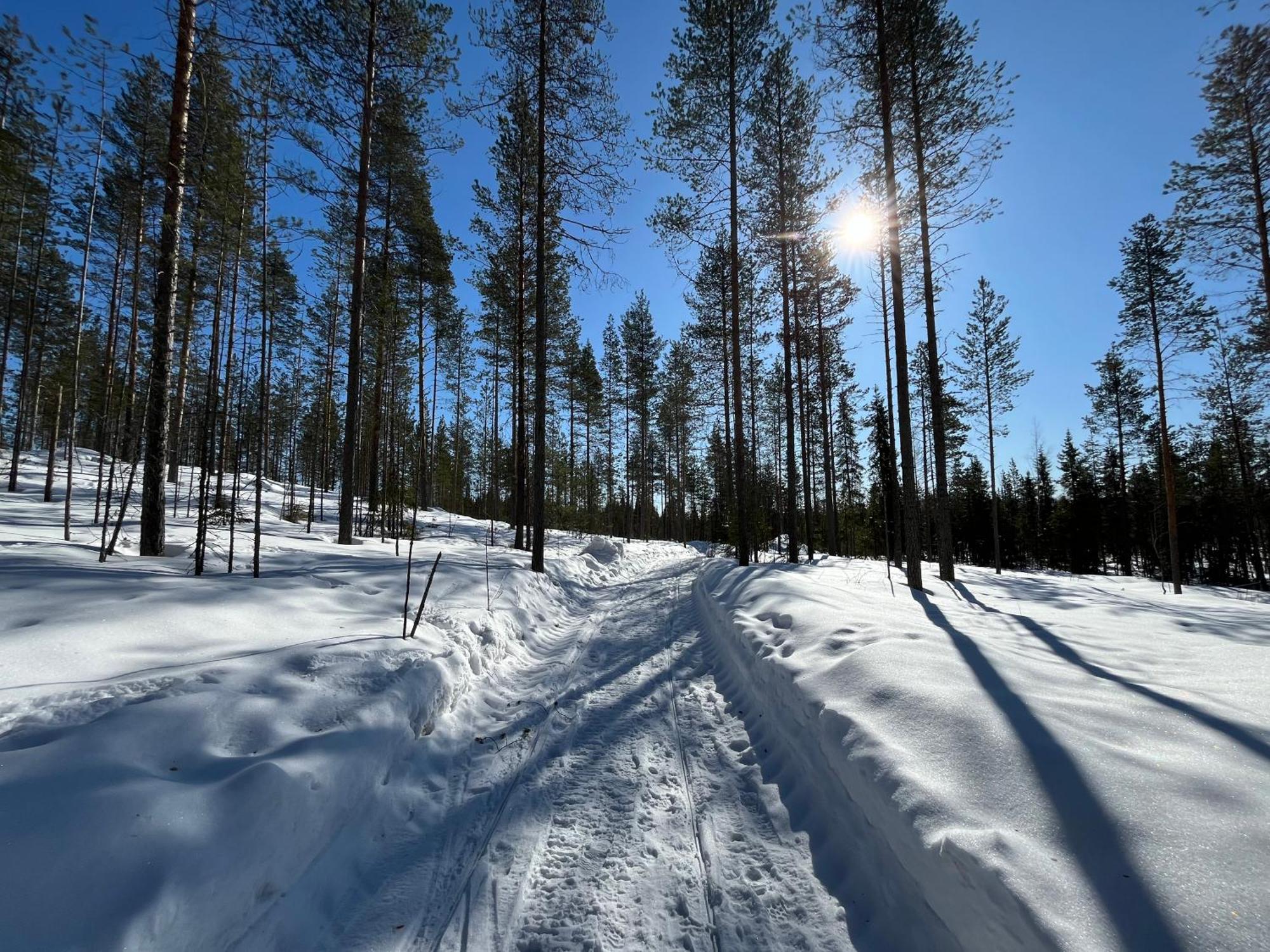Log Cottages In 10 Min From Santa Claus Village-Sauna&Freeparking Rovaniemi Kültér fotó